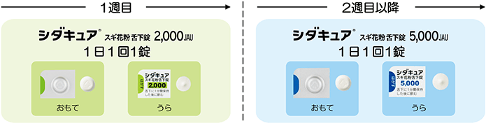 10.5.2.	シダキュア